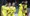 BATE - ARSENAL 1:0 Senzacionalni Bjelorusi šokirali 60 puta skuplje Engleze
